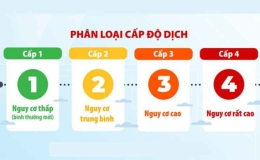 Cấp độ dịch COVID19 mới nhất: 95,5% xã phường cả nước là vùng xanh và vàng