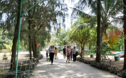 Du lịch bắt đầu phục hồi