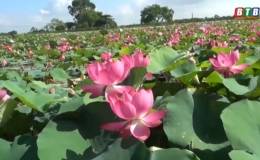 Đưa du lịch sinh thái về nông thôn