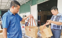 Kết hợp thế mạnh các làng nghề để phát triển