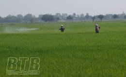 Kiến Xương: Phòng trừ sâu cuốn lá nhỏ cho 100% diện tích lúa xuân