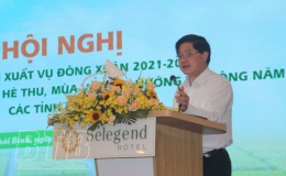 Năng suất lúa vụ đông xuân ước đạt 62,7 tạ/ha