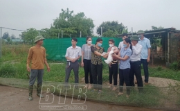 Nghiệm thu mô hình khuyến nông năm 2022