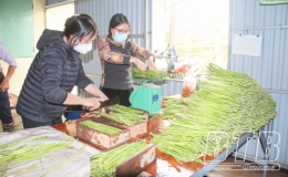 Nông nghiệp thích ứng với biến đổi khí hậu
