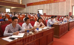 Quỳnh Phụ: Triển khai đề án sản xuất vụ mùa, vụ đông năm 2022