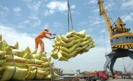 Thị trường xuất khẩu gạo khởi sắc