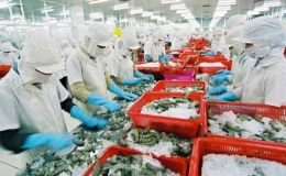5 tháng, xuất khẩu nông, lâm, thủy sản giảm hơn 11%