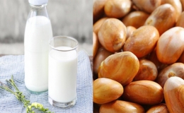 Cách làm sữa hạt mít béo ngậy, lạ miệng