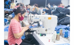 Đảng bộ xã Quang Trung: Phát huy vai trò lãnh đạo phát triển kinh tế