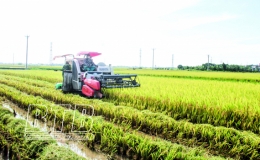Hiện thực hóa giấc mơ đại điền