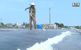 Khôi phục nghề làm muối ở Thụy Hải