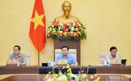 Làm rõ trách nhiệm tập thể, cá nhân trong việc chậm trễ báo cáo Ủy ban Thường vụ Quốc hội