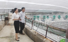 Ngành ngân hàng: Đầu tư tín dụng phát triển kinh tế - xã hội