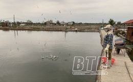 Thái Thụy: Tập trung chăm sóc và bảo vệ thủy sản