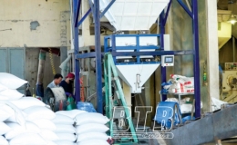 Vì sao doanh nghiệp chưa tận dụng được cơ hội để đẩy mạnh xuất khẩu gạo