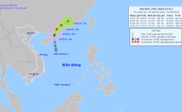 Công điện khẩn số 01/CĐ-PCTT, hồi 17 giờ 00' ngày 31/5/2024 của  Ban Chỉ huy Phòng, chống thiên tai và Tìm kiếm cứu nạn tỉnh Thái Bình