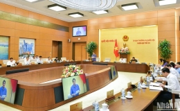 Đề xuất Nghệ An được áp dụng PPP trong lĩnh vực thể thao, văn hóa