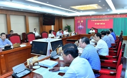 Miễn nhiệm, từ chức, từ quy định đến thực tế