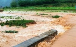 Mưa lớn kèm gió lốc gây nhiều thiệt hại tại Lạng Sơn