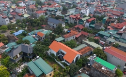 Nhà cuối ngõ như 'ốc đảo xanh' nhờ thiết kế mở