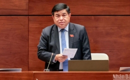 Tâm lý sợ sai, sợ trách nhiệm khiến một số chính sách hỗ trợ còn chậm, kém hiệu quả