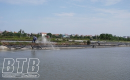 Thái Thụy: Tích cực ngăn chặn dịch bệnh đốm trắng trên tôm