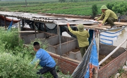 Vũ Thư: Tập huấn kỹ thuật hộ đê, xử lý hư hỏng của đê, kè, cống