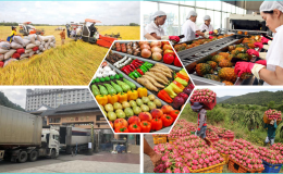 Bảo đảm sản xuất, tiêu thụ, xuất khẩu nông lâm thủy sản trong bối cảnh biến động thương mại toàn cầu