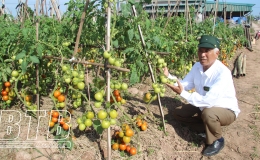 Bộ đội Cụ Hồ trên mặt trận phát triển kinh tế