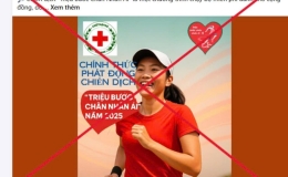 Cảnh báo lừa đảo mạo danh Chiến dịch "Triệu bước chân nhân ái"
