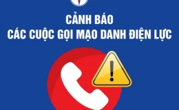 Cảnh báo trang web lừa đảo, giả mạo Tổng công ty Điện lực miền Bắc