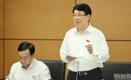 Chủ tịch nước yêu cầu khắc phục tình trạng hiểu pháp luật nhưng lại lách luật