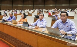 Đại biểu Quốc hội: Đừng để “tiền trong két mà lãi vay vẫn phải trả”
