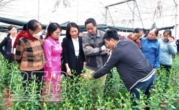 Dấu ấn phát triển khoa học công nghệ, đổi mới sáng tạo