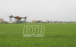 Hiệu quả sử dụng thiết bị bay không người lái phun thuốc trừ sâu
