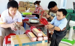 Hoạt động ý nghĩa vì nạn nhân chất độc da cam dioxin Việt Nam tại Pháp