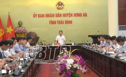 Hưng Hà: Phấn đấu gieo trồng trên 10.250ha lúa mùa