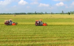 Hướng dẫn về chi phí tách thửa đất nông nghiệp mới nhất 2025