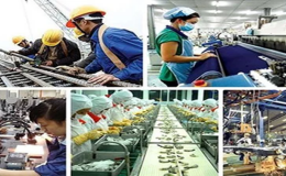 Kế hoạch hành động của Chính phủ về phát triển kinh tế tư nhân