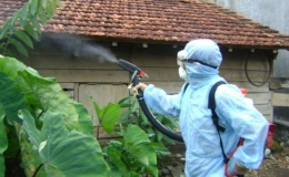 Khuyến cáo từ Bộ Y tế trong cao điểm sốt xuất huyết