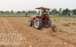 Kiến Xương: Phấn đấu gieo trồng 100% diện tích lúa và cây màu