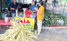 Kinh Doanh Nước Mía Có Lãi Không? Phân Tích Chi Tiết