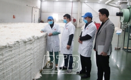 Liên hiệp các Hội Khoa học và Kỹ thuật tỉnh: 15 năm đổi mới, nâng cao chất lượng, hiệu quả hoạt động