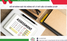 Mẫu hồ sơ đánh giá tác động xử lý dữ liệu cá nhân tại DPVN - baovedlcn.vn