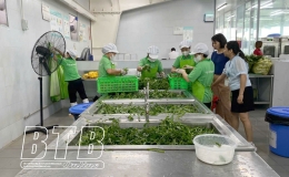 Ngành y tế: Kiểm tra 35 cơ sở sản xuất, kinh doanh thực phẩm, dịch vụ ăn uống do ngành quản lý