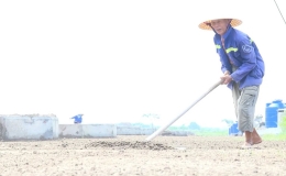 Nghề làm muối Thụy Hải trở thành Di sản văn hóa phi vật thể quốc gia