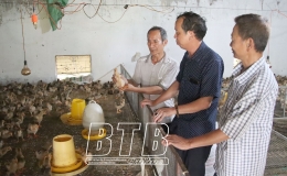 Ông Đỗ Văn Thưởng - người khuyết tật làm kinh tế giỏi