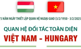 Quan hệ Đối tác toàn diện Việt Nam-Hungary
