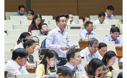 Quốc hội quyết định ngày bầu cử đại biểu Quốc hội khóa XVI và đại biểu HĐND các cấp nhiệm kỳ 2026 - 2031