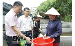 Quỳnh Phụ: Tăng hiệu quả kinh tế từ vốn vay giải quyết việc làm